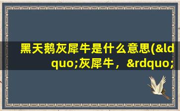 黑天鹅灰犀牛是什么意思(“灰犀牛，”，是什么意思 “黑天鹅”是什么意思)